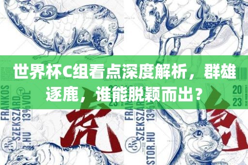 世界杯C组看点深度解析，群雄逐鹿，谁能脱颖而出？