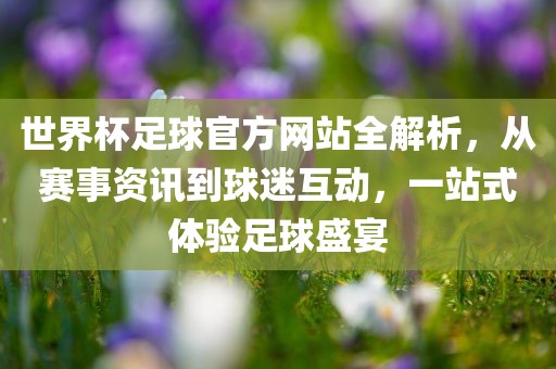 世界杯足球官方网站全解析，从赛事资讯到球迷互动，一站式体验足球盛宴洛阳市法福文化传播有限公司