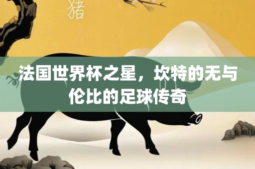 法国世界杯之星，坎特的无与伦比的足球传奇