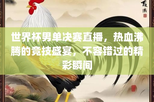 世界杯男单决赛直洛阳市法福文化传播有限公司播，热血沸腾的竞技盛宴，不容错过的精彩瞬间