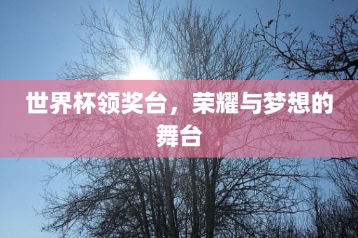 世界杯领奖台，荣耀与梦想的舞台