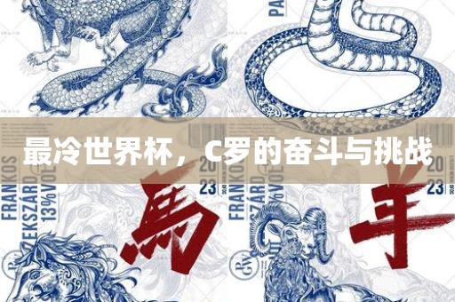 最冷世界杯，C罗的奋斗与挑战洛阳市法福文化传播有限公司