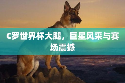 C罗世界杯大腿，巨星风采与赛场震撼洛阳市法福文化传播有限公司