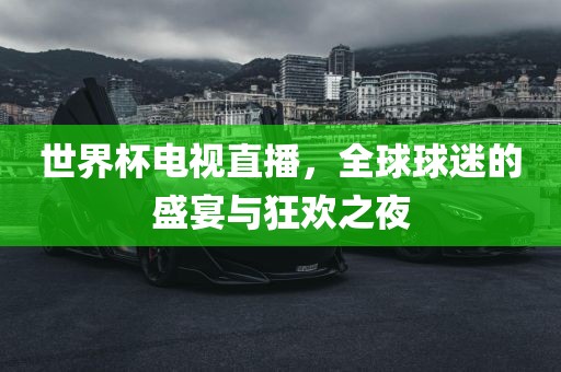 世界杯电视直播，全球球迷的盛宴与狂欢之夜