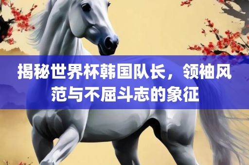 揭秘世界杯韩国队长，领袖风范与不屈斗志的象征洛阳市法福文化传播有限公司