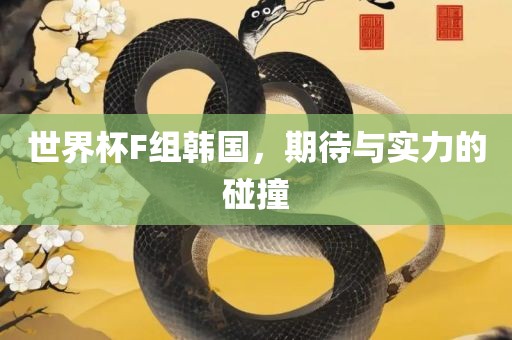 世界杯F组韩国，期待与实力的碰撞洛阳市法福文化传播有限公司