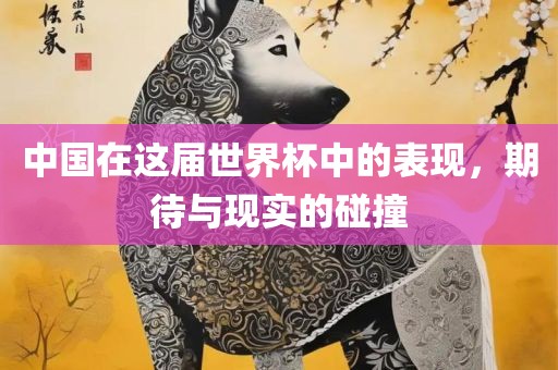中国在这届世界杯中的表现，期待与现实的碰撞洛阳市法福文化传播有限公司