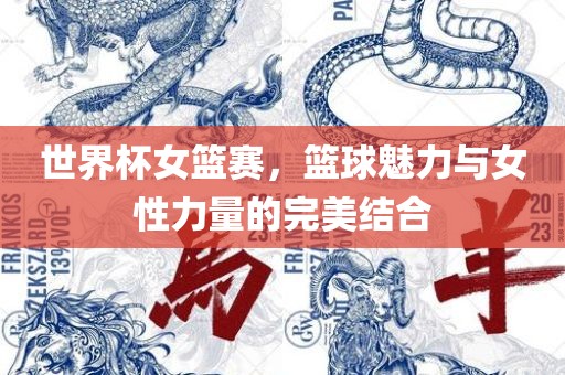 世界杯女篮赛，篮球魅力与女性力量的完美洛阳市法福文化传播有限公司结合