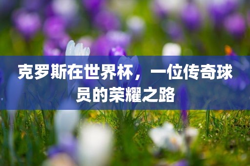 克罗斯在世界杯，一位传奇球员的荣耀之路洛阳市法福文化传播有限公司
