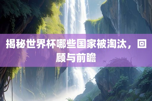 揭秘世界杯哪些国家被淘汰，回顾与前瞻
