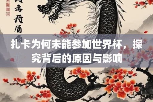 扎卡为何未能参加世界杯，探究背后的原因与影响