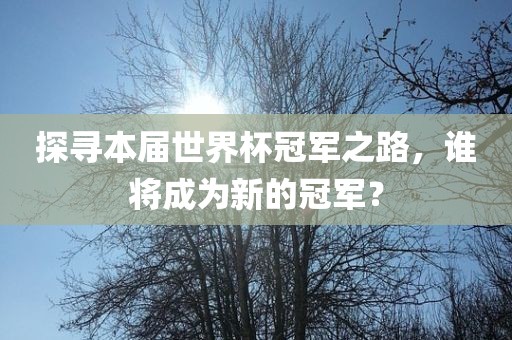 探寻本届世界杯冠军之路，谁将成为新的冠军？