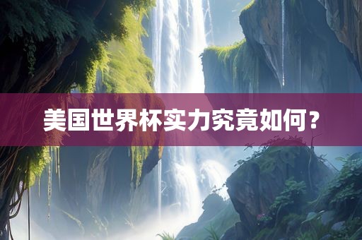 美国世界杯实力究竟如何？