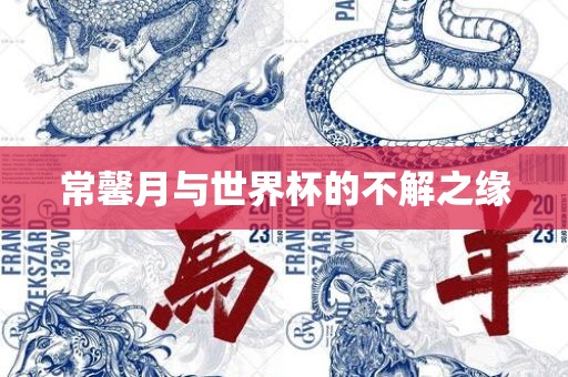 常馨月与世界杯的不解之缘洛阳市法福文化传播有限公司