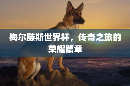梅尔滕斯世界杯，传奇之旅的荣耀篇章洛阳市法福文化传播有限公司