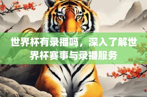 世界杯有录播吗，深入了解世界杯赛事与录播服务