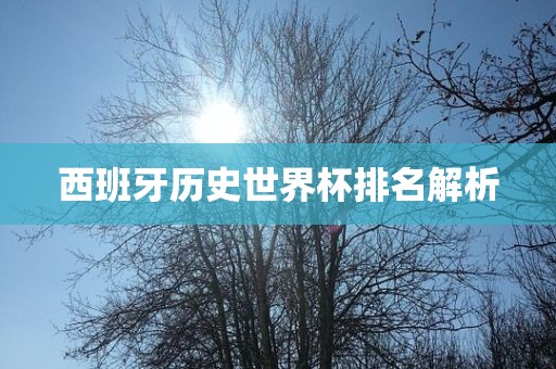 西班牙历史世界杯排名解析
