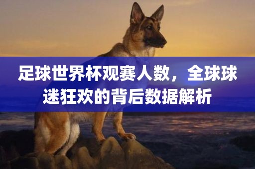 洛阳市法福文化传播有限公司足球世界杯观赛人数，全球球迷狂欢的背后数据解析