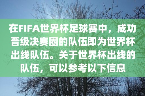 在FIFA世界杯足球赛中，成功晋级决赛圈的队伍即为世界杯出线队伍。关于世界杯出线的队伍，可以参考以下信息