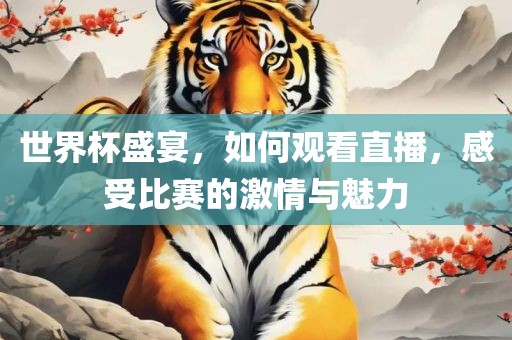 世界杯盛宴，如何观看直播，感受比赛的激情与魅力