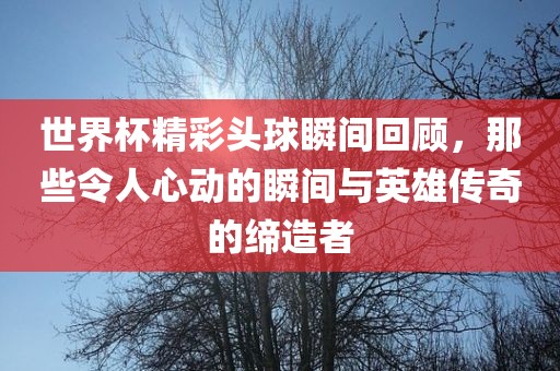 世界杯精彩头球瞬间洛阳市法福文化传播有限公司回顾，那些令人心动的瞬间与英雄传奇的缔造者