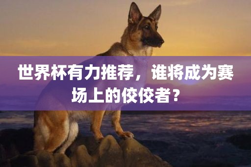 世界杯有力推荐，谁将成为赛场上的佼佼者？