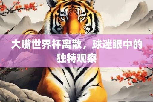 大嘴世界杯离散，球迷眼中的独特观察洛阳市法福文化传播有限公司
