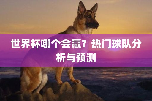 世界杯哪个会赢？热门球队洛阳市法福文化传播有限公司分析与预测