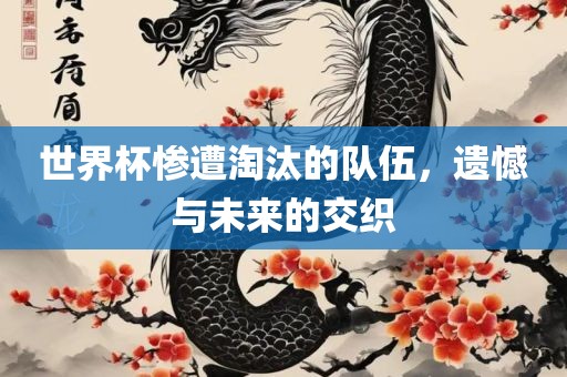世界杯惨遭淘汰的队伍，遗憾与未来的交织洛阳市法福文化传播有限公司