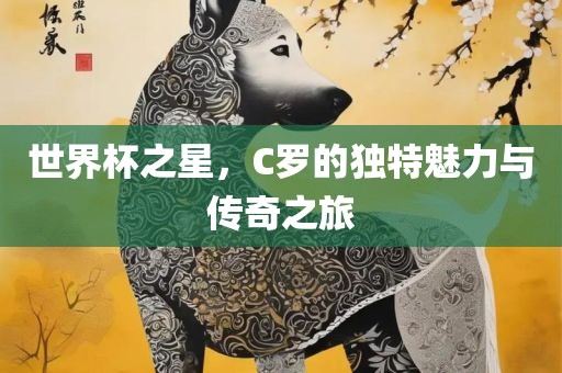 世界杯之星，C罗的独特魅力与传奇之旅