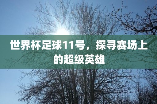 世界杯足球 第3页