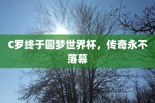 C罗终于圆梦世界杯，传奇永不落幕洛阳市法福文化传播有限公司