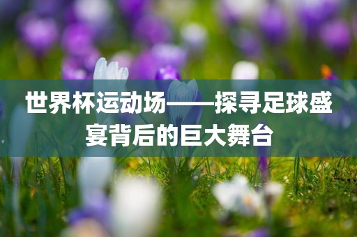 世界杯运动场——探寻足球盛宴背后的巨大舞台洛阳市法福文化传播有限公司
