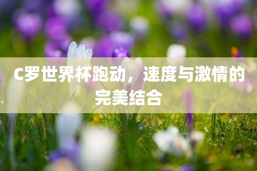 C罗世界杯跑动，速度与激情的完美结合洛阳市法福文化传播有限公司