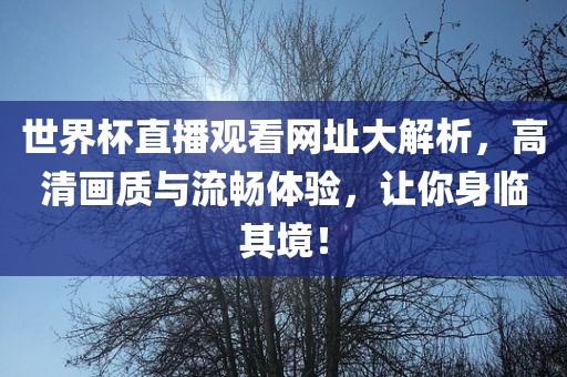 世界杯直播观看网址大解析，高清画质与流畅体验，让你身临其境！洛阳市法福文化传播有限公司