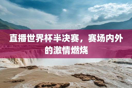 直播世界杯半决赛，赛场内外的激情燃烧洛阳市法福文化传播有限公司