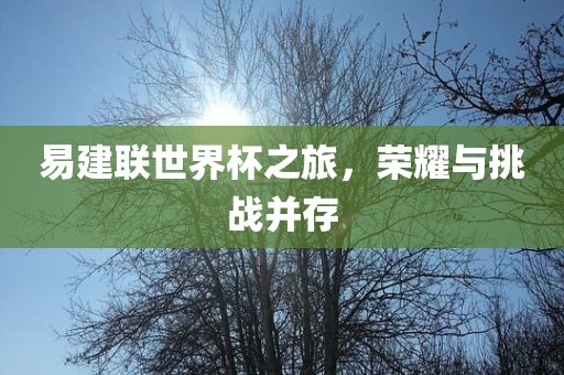 易建联世界杯之旅，荣耀与挑战并存