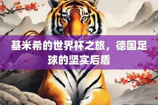 基米希的世界杯之旅，德国足球的坚实后盾洛阳市法福文化传播有限公司