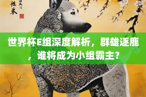 世界杯E组深度解析，群雄逐鹿，谁将成为小组霸主？
