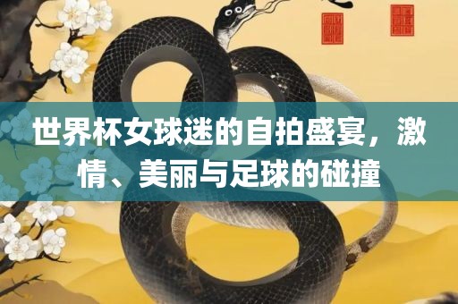 世界杯女球迷的自拍盛宴，激情、美丽与足球的碰撞洛阳市法福文化传播有限公司