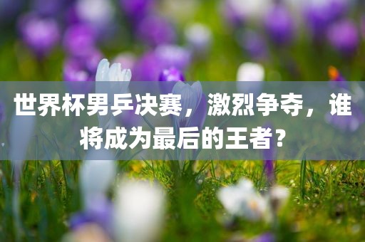 世界杯男乒决赛，激烈争夺，谁将成为最后的王者？洛阳市法福文化传播有限公司