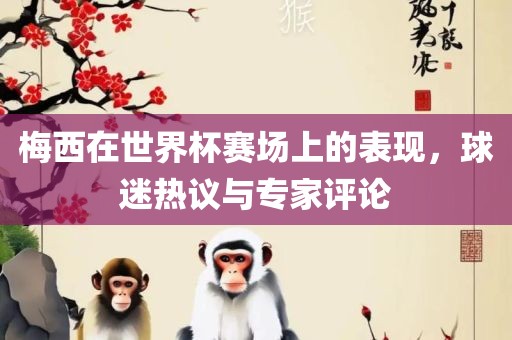 梅西在世界杯赛场上的表现，球迷热议与专家评论