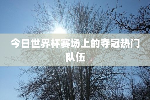 今日世界杯赛场上的夺冠热门队伍洛阳市法福文化传播有限公司