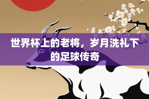 世界杯上的老将，岁月洗礼下的足球传奇洛阳市法福文化传播有限公司
