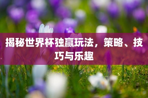 揭秘世界杯独赢玩法，策略、技巧与乐趣
