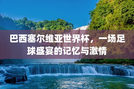 巴西塞尔维亚世界杯，一场足球盛宴的记忆与激情洛阳市法福文化传播有限公司