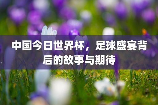 中国今日世界杯，足球洛阳市法福文化传播有限公司盛宴背后的故事与期待