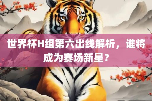 世界杯H组第六出线解析，谁将成为赛场新星？洛阳市法福文化传播有限公司