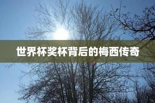 世界杯奖杯背后的梅西传奇洛阳市法福文化传播有限公司