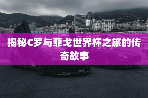 揭秘C罗与菲戈世界杯之旅的传奇故事洛阳市法福文化传播有限公司